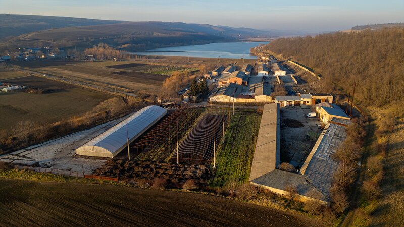 Horgesti, fosta Ferma a Partidului de vanzare