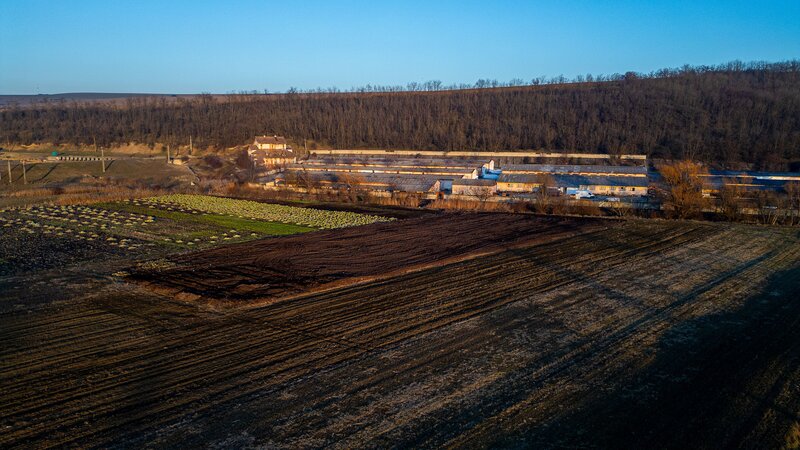 Horgesti, fosta Ferma a Partidului de vanzare