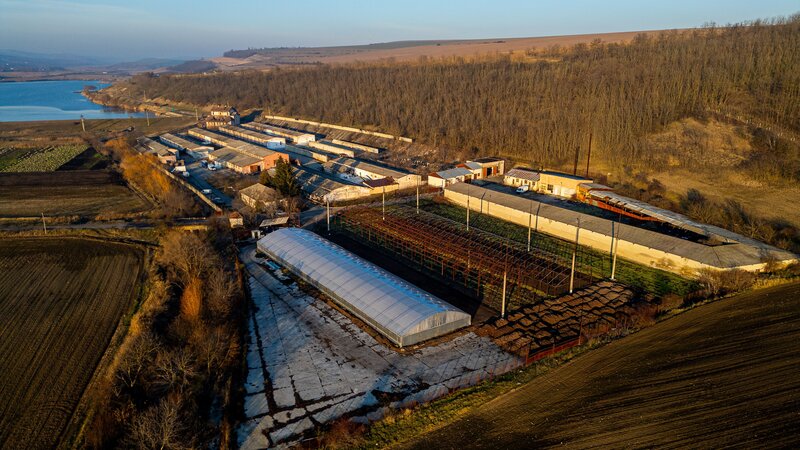 Horgesti, fosta Ferma a Partidului de vanzare