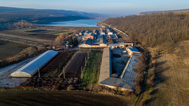 Horgesti, fosta Ferma a Partidului de vanzare