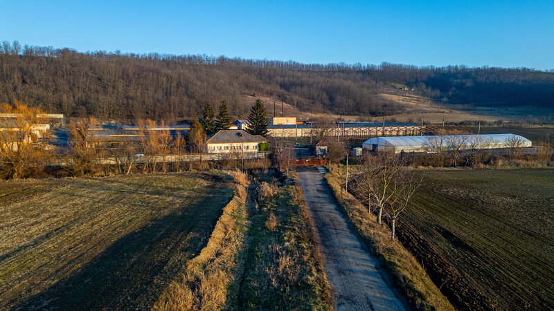 Horgesti, fosta Ferma a Partidului de vanzare